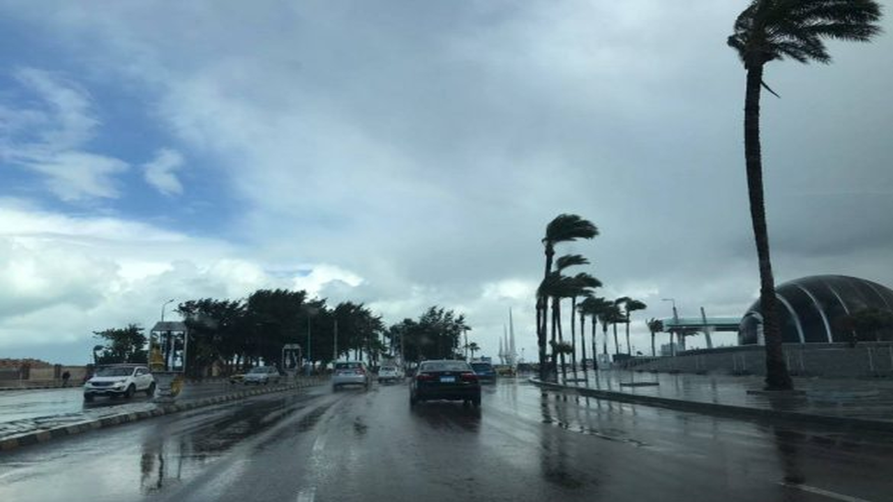 بسبب الشبورة الكثيفة.. الأرصاد تحذر من تقلبات جوية مفاجئة في محافظات مصر غدًا